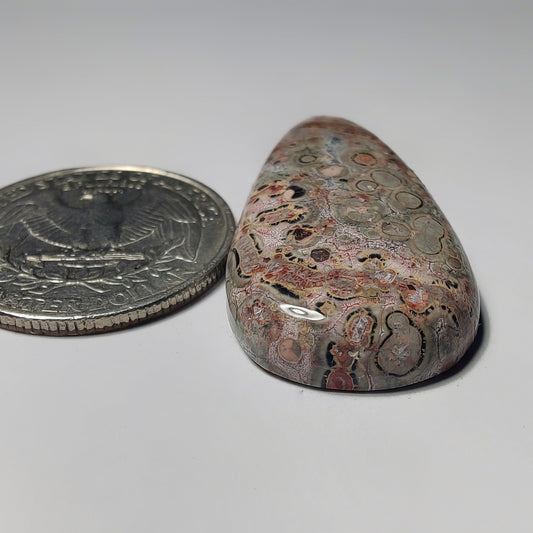 Leopard Skin Jasper gemstone cabochon - natural crystal healing stone for jewelry making by Gemivra