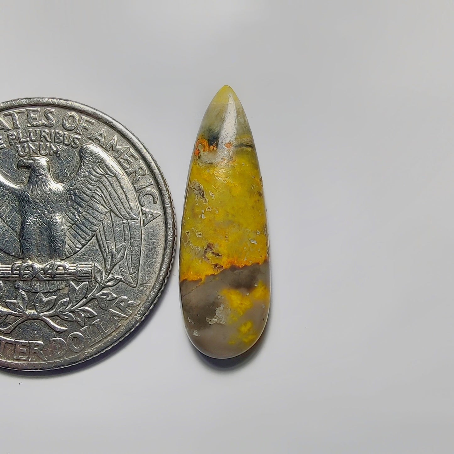 Bumblebee Jasper