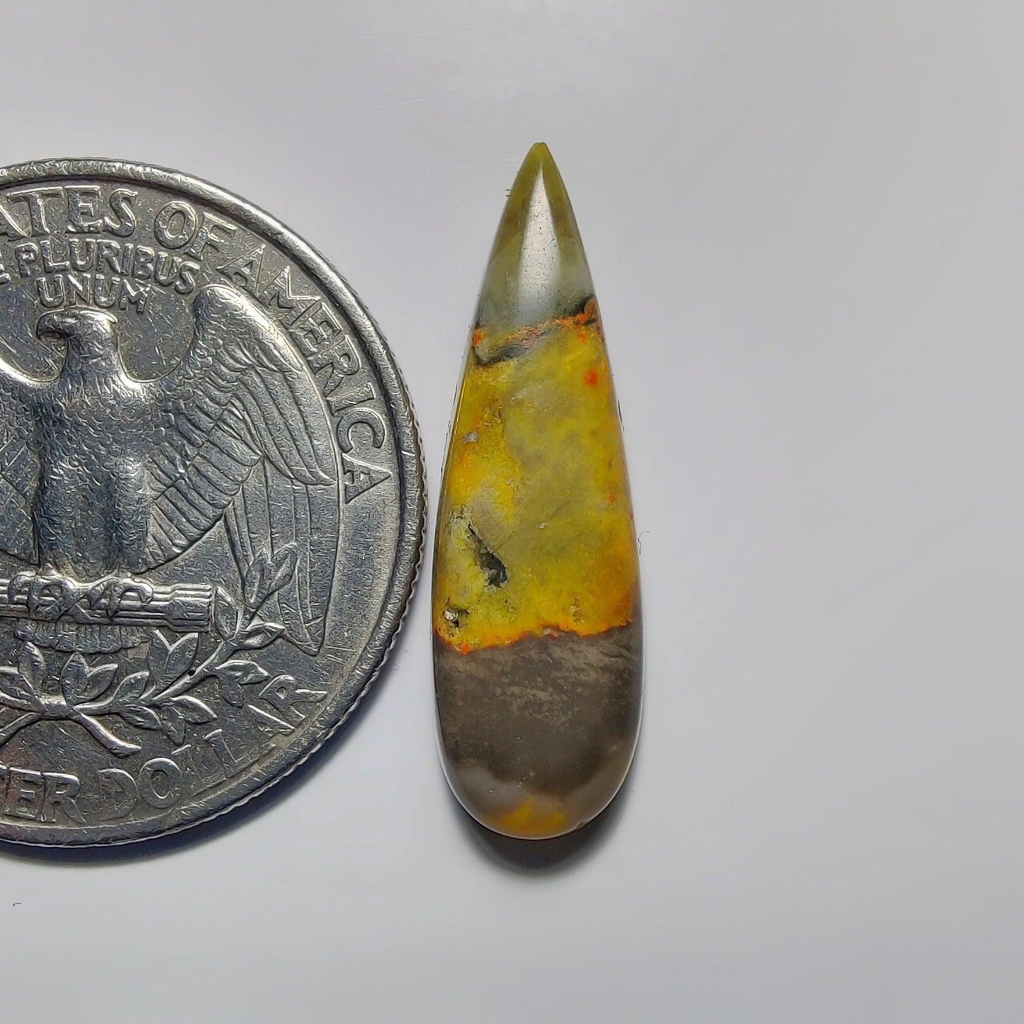 Bumblebee Jasper