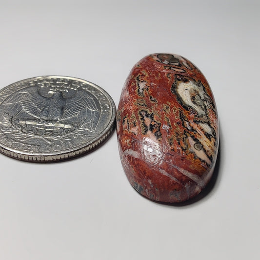 Leopard Skin Jasper gemstone cabochon - natural crystal healing stone for jewelry making by Gemivra