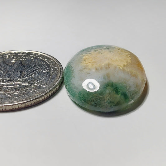 Moss Agate gemstone cabochon - natural crystal healing stone for jewelry making by Gemivra