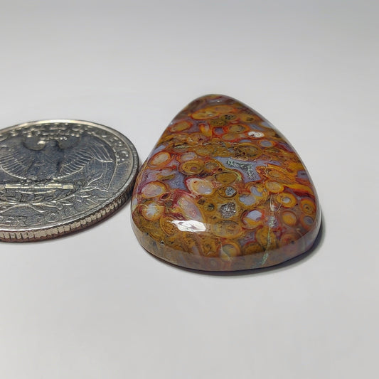 Palm Root Agate gemstone cabochon - natural crystal healing stone for jewelry making by Gemivra