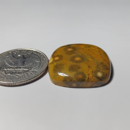 Ocean Jasper