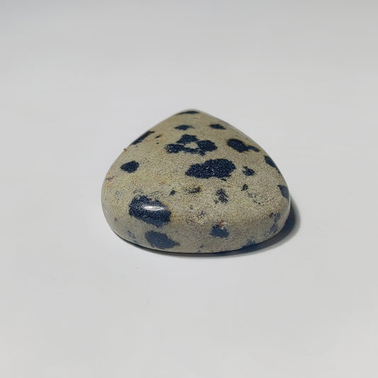Dalmatian Jasper