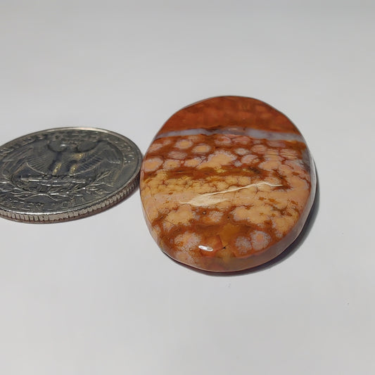 Ocean Jasper