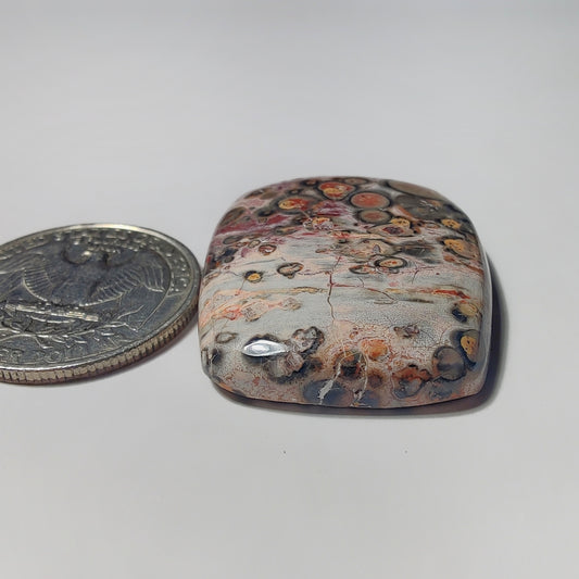 Leopard Skin Jasper