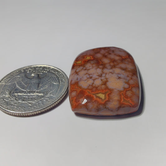 Ocean Jasper