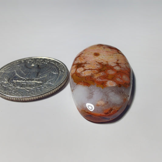 Ocean Jasper