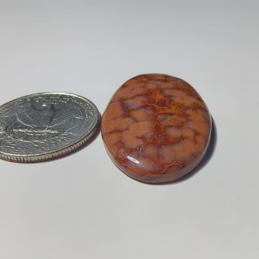 Ocean Jasper