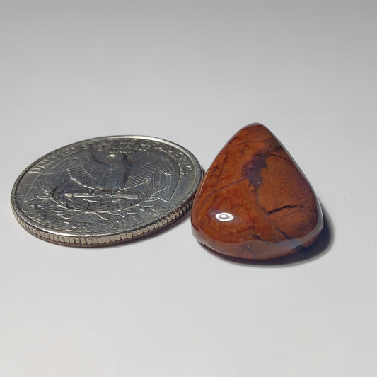 Ocean Jasper