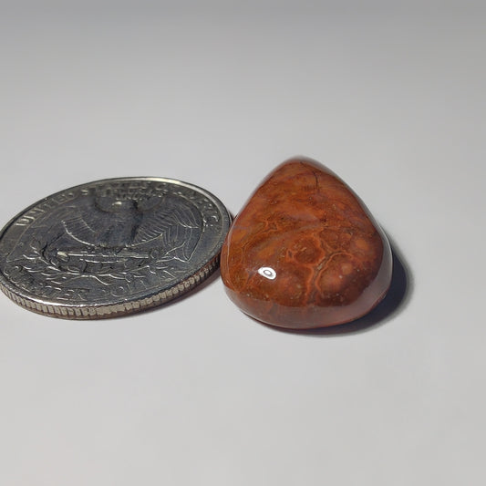 Ocean Jasper