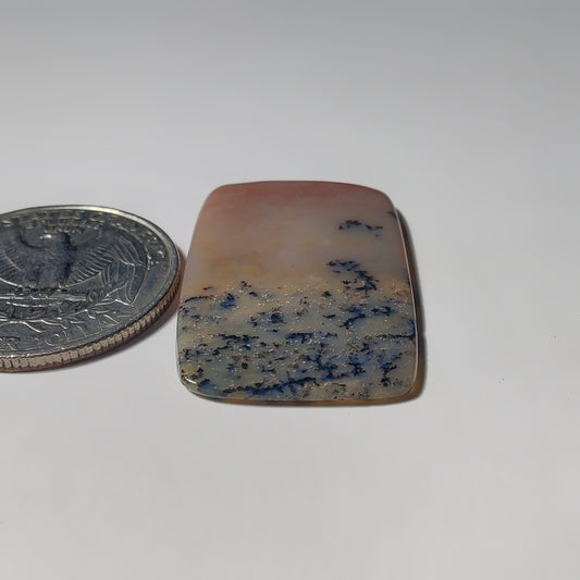 Honey Dendritic Agate