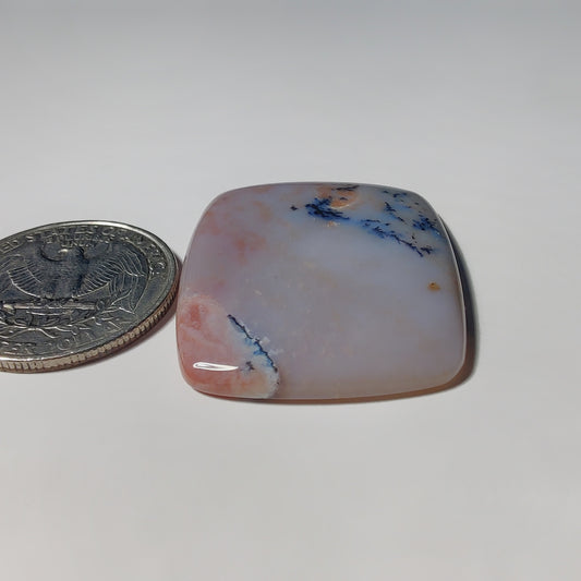 Honey Dendritic Agate