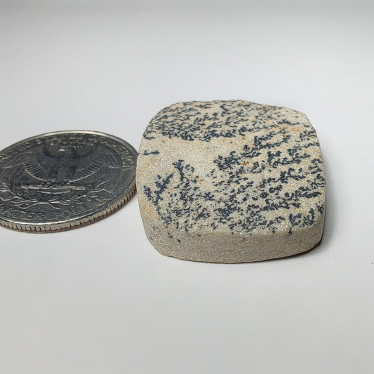 German Dendrite
