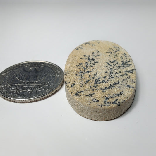 German Dendrite