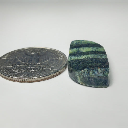 Zebra Jasper