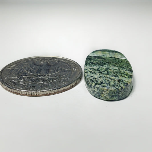 Zebra Jasper