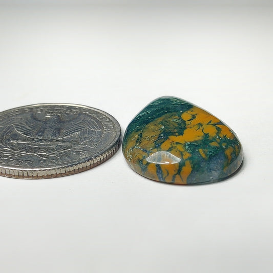 Thunder Agate
