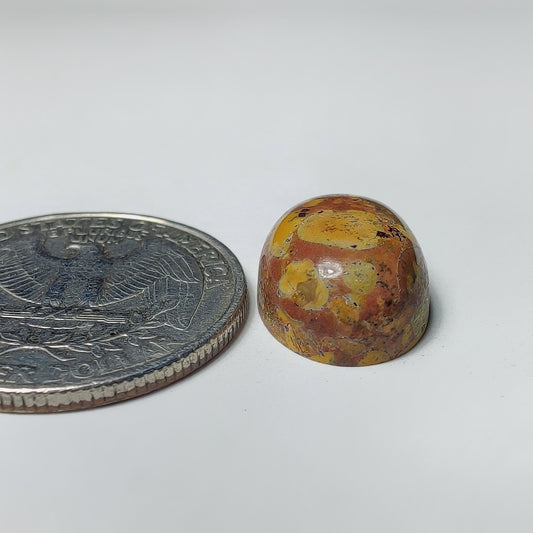 Fruit Jasper