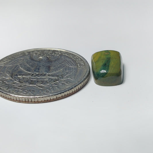 Polychrome Jasper