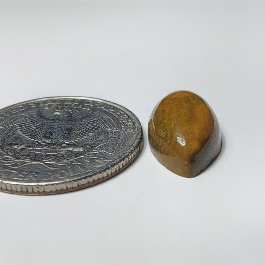 Ocean Jasper