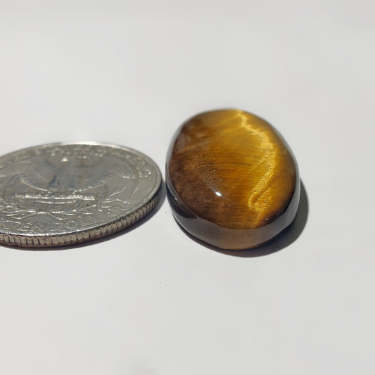 Tiger Eye Cabochon