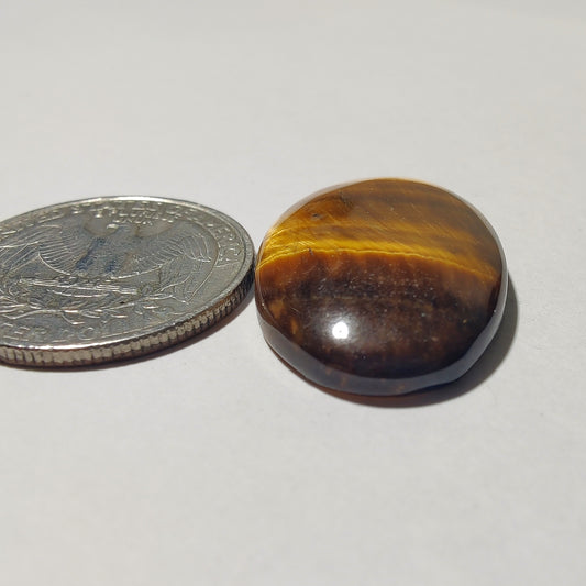 Tiger Eye Cabochon