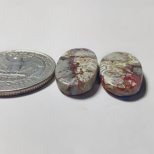 Crazy Lace Agate Pair