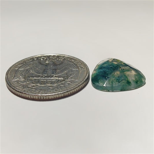 Rose Cut Moss Agate