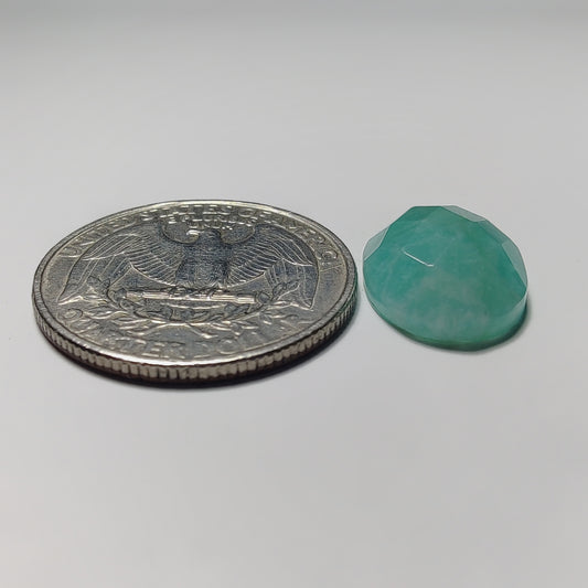 Checker Cut Amazonite
