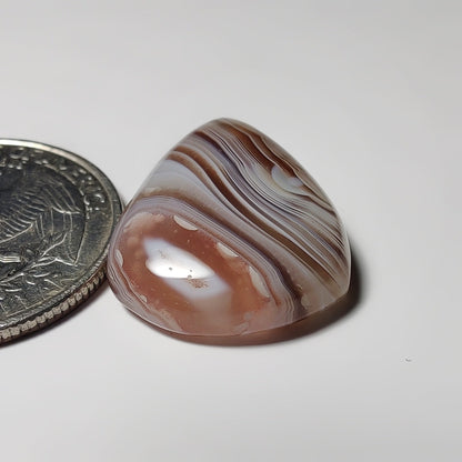 Botswana Agate