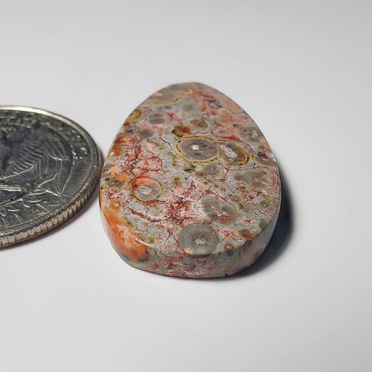 Leopard Skin jasper