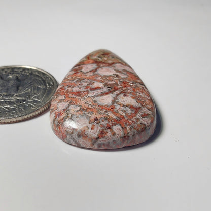 Leopard Skin Jasper