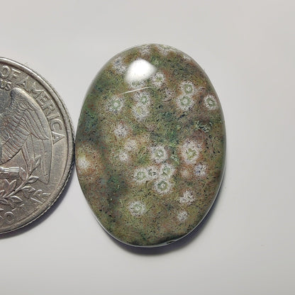 Ocean Jasper