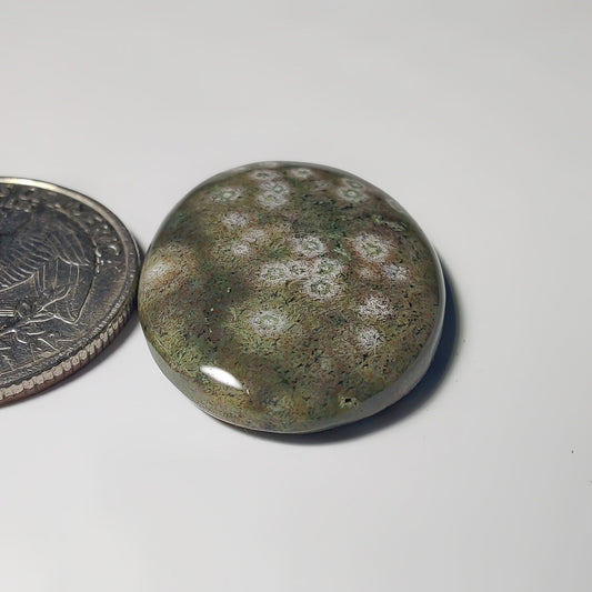 Ocean Jasper