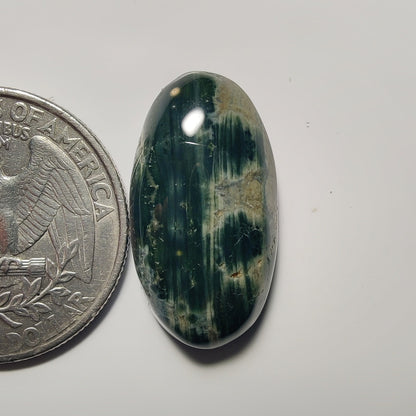 Ocean Jasper