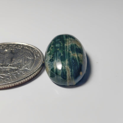 Ocean Jasper