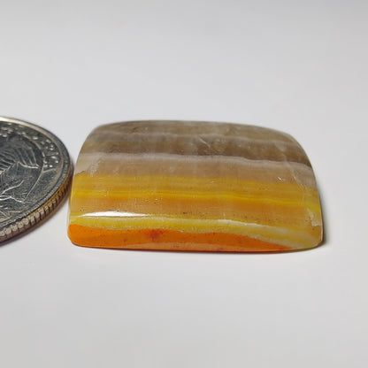 Bumble Bee Jasper