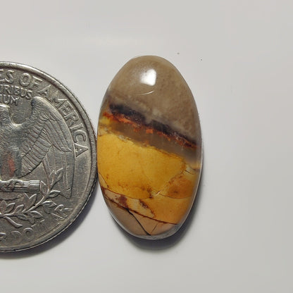 Chocolate Jasper
