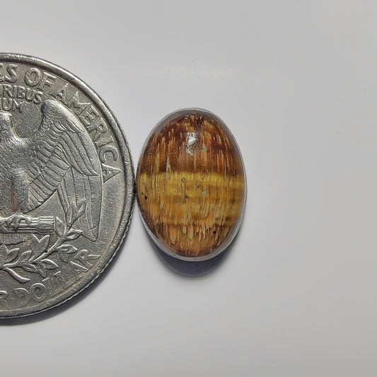 Tiger Eye