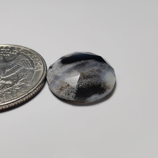 Dendritic Agate
