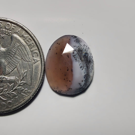 Dendritic Agate