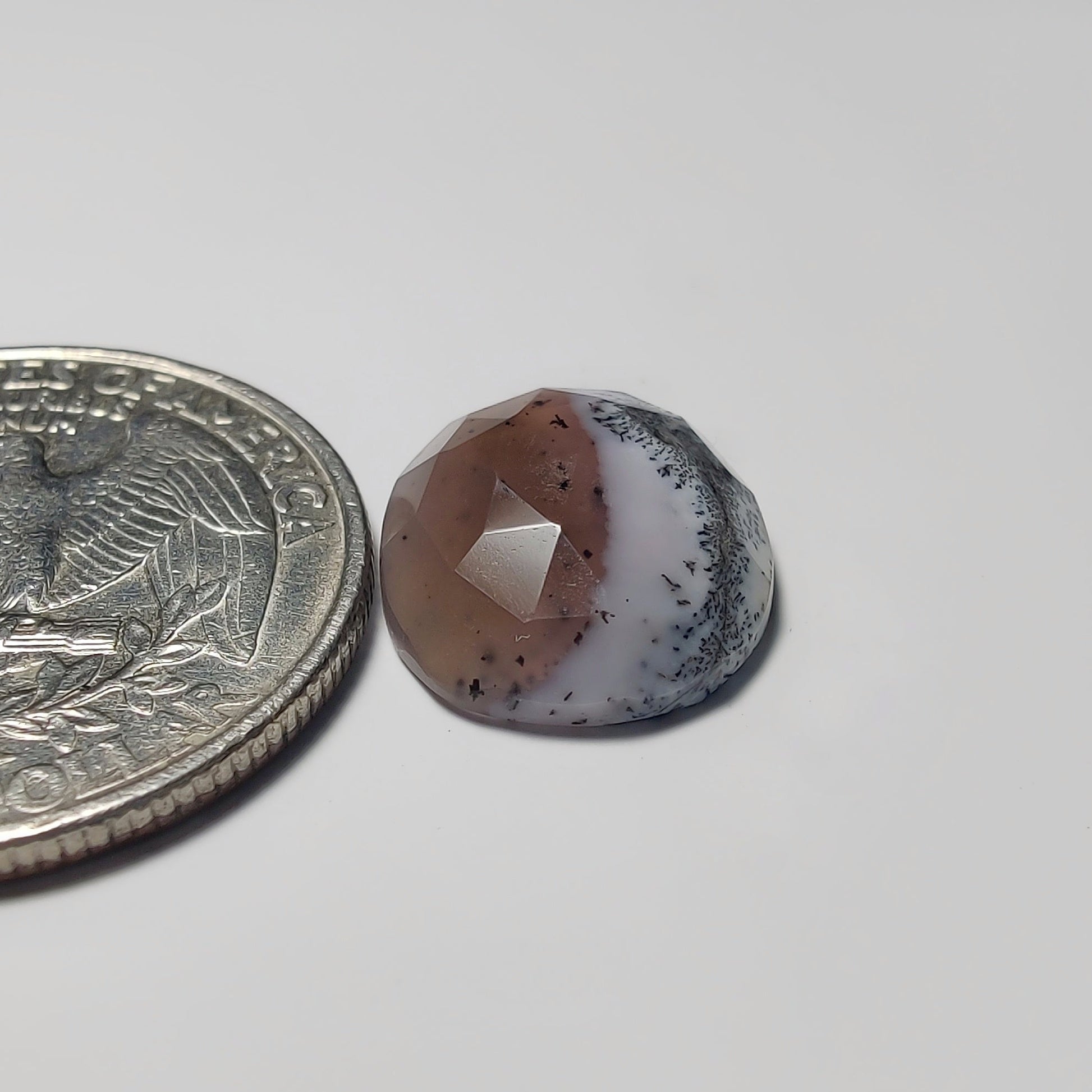 Dendritic Agate