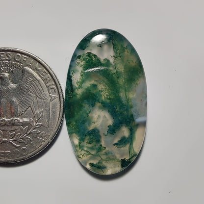 Moss Agate