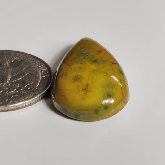 Ocean Jasper