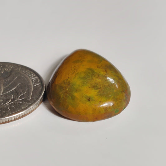 Ocean Jasper
