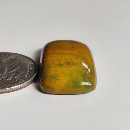 Ocean Jasper
