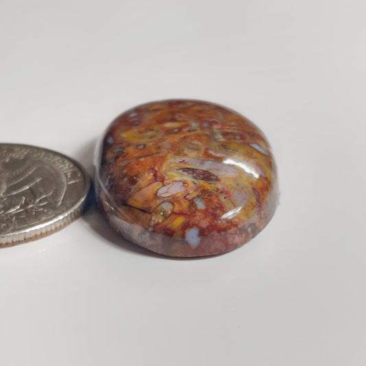 Lepard Skin Jasper