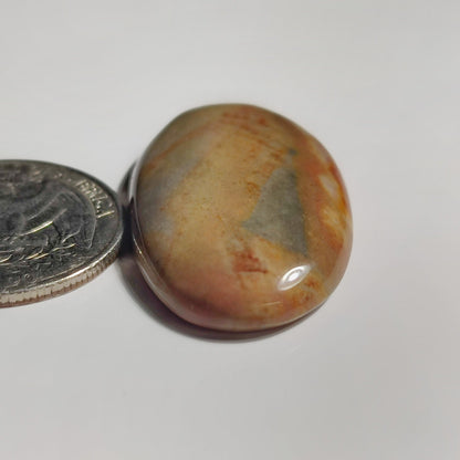 Polychrome Jasper