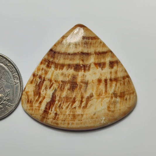 Brown Jasper